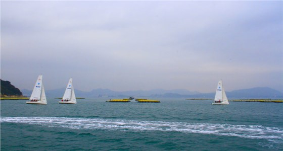 铜门厂家“铜盟荟”扬帆起航 铜门厂家“铜盟荟”扬帆起航