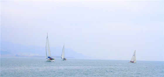 铜门厂家“铜盟荟”扬帆起航 铜门厂家“铜盟荟”扬帆起航