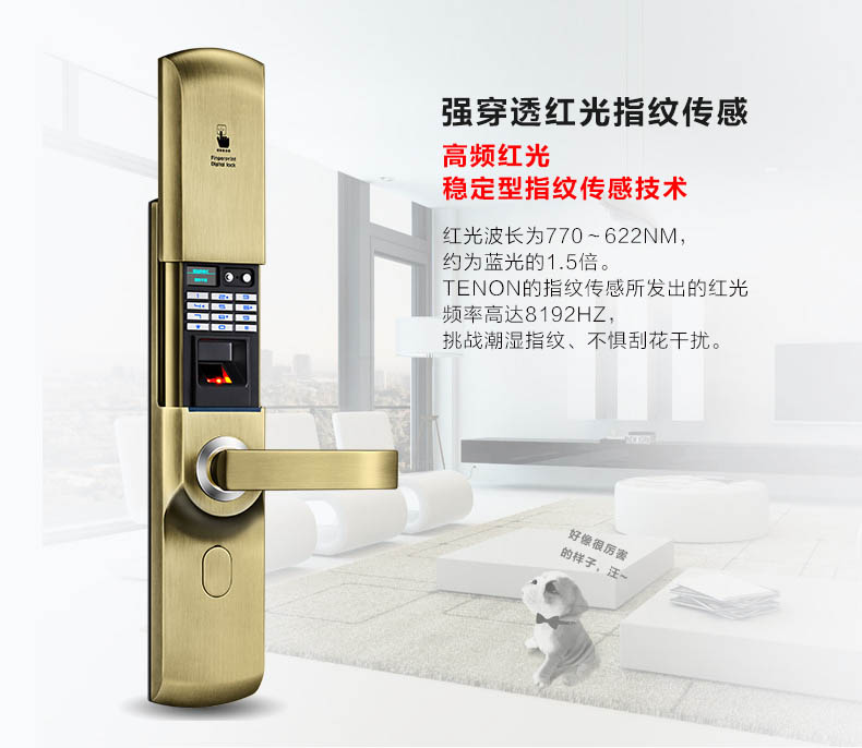 指纹密码锁|家用电子锁|指纹锁|科技智能锁|F3158